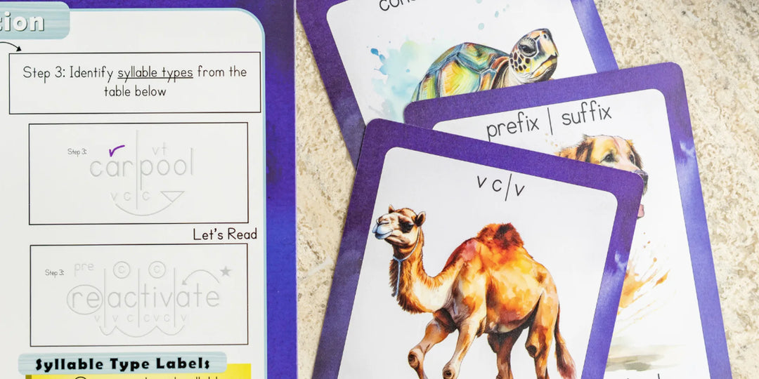 Code Breakers Sound Cards and reading and spelling workbook