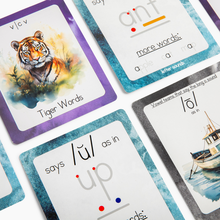 Learn to Read and Spell: Code Breakers Grooved Reusable Workbooks and Cards Bundle