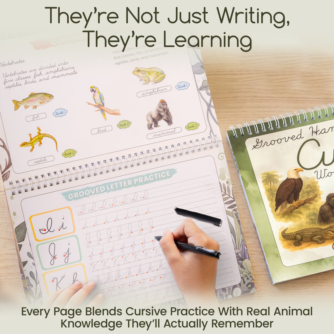 Grooved Animal Kingdom Cursive for Kids | Reusable Cursive Handwriting Books with Disappearing Ink