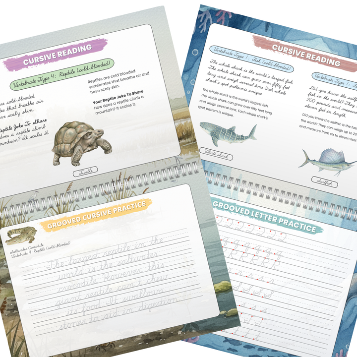PRE-ORDER:  Grooved Cursive Handwriting Workbooks  - Animal Kingdom
